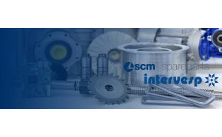 0000619532G Оригинальная запасная часть SCM Group (Италия)