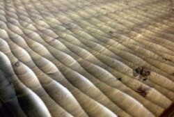 Мембранно вакуумный пресс Master Compact (3140)